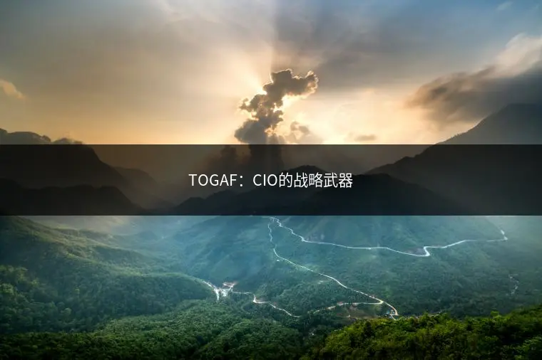 TOGAF：CIO的战略武器