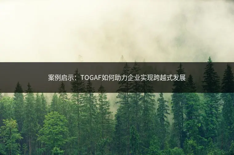 案例启示：TOGAF如何助力企业实现跨越式发展