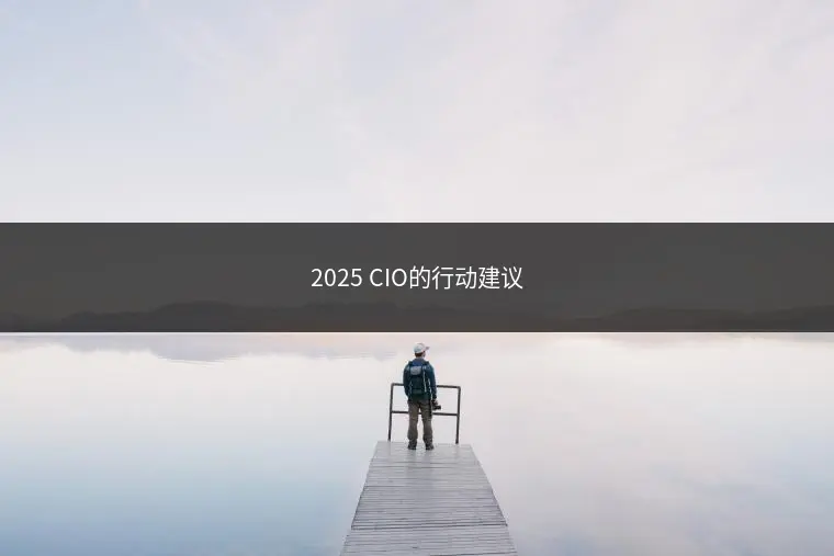 2025 CIO的行动建议